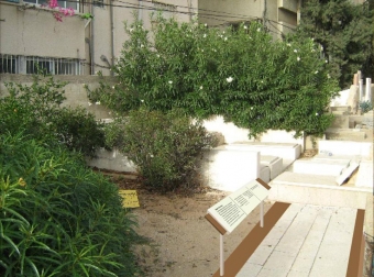 עיצוב: עופר קוטלר