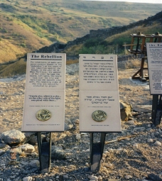 עיצוב: עופר קוטלר