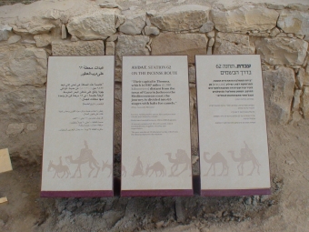 עיצוב: עפר קוטלר