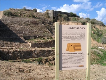 עיצוב: יובל ארטמן