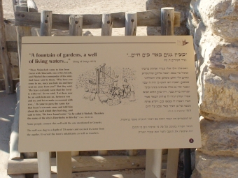 עיצוב: יובל ארטמן