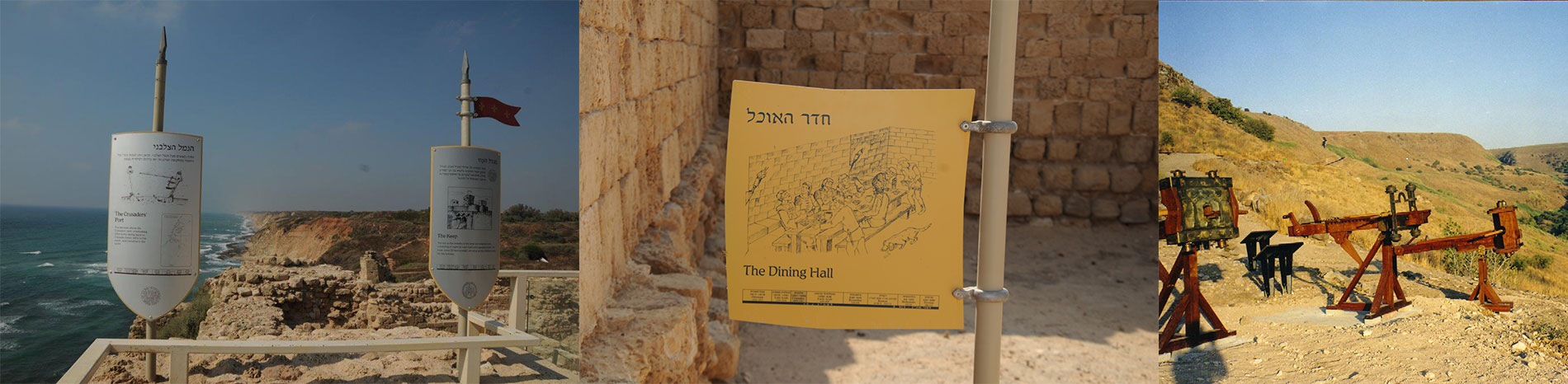 אביבית גרא- אוצרת אתרים ומוזיאונים