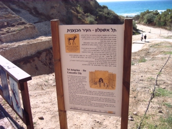 תצוגה ארכיאולוגית בבניין חברת קצא