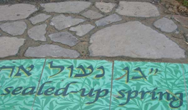 גן מעיינות עדן ברמת הגולן