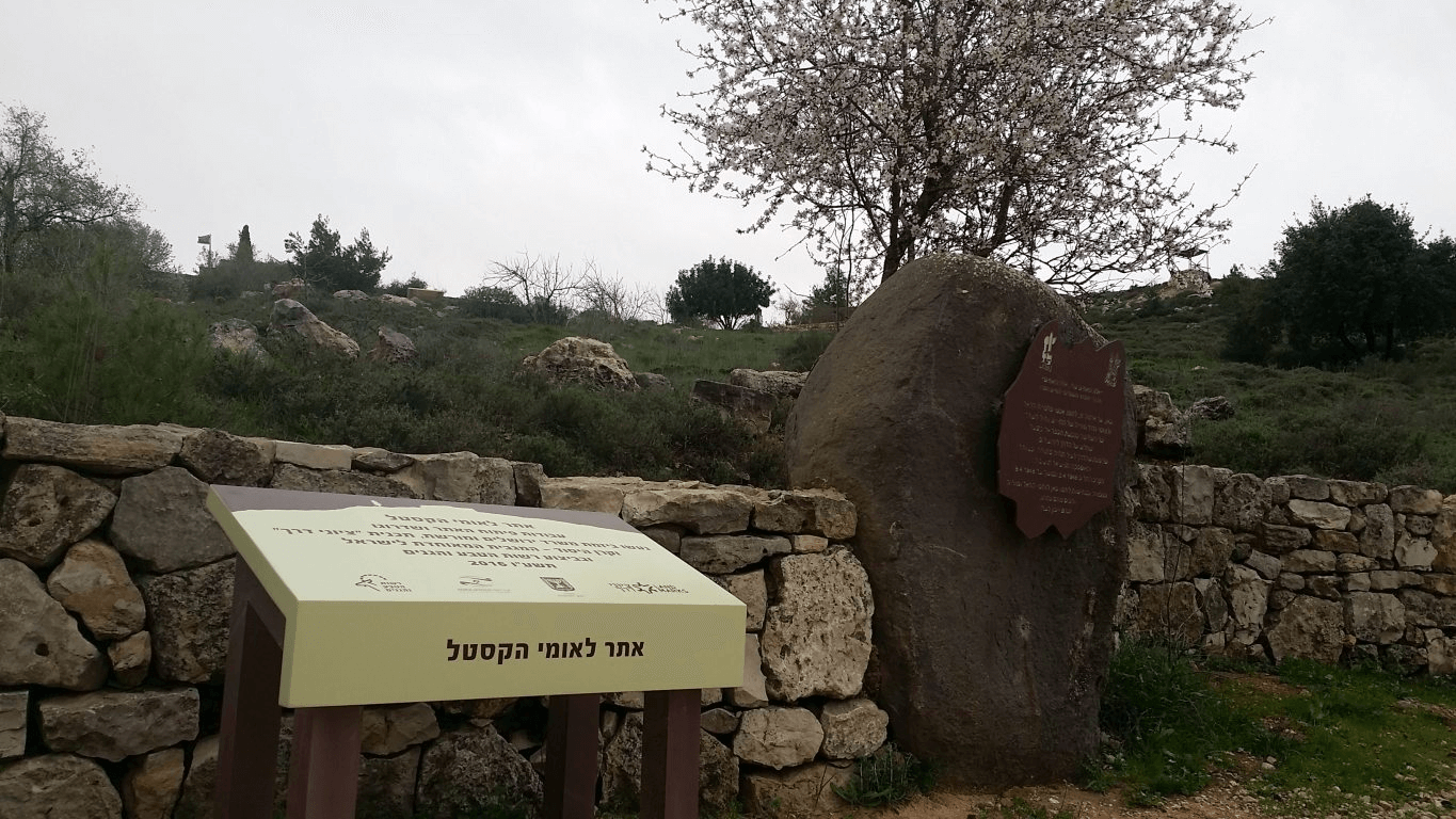 עיצוב: סטודיו אבידני