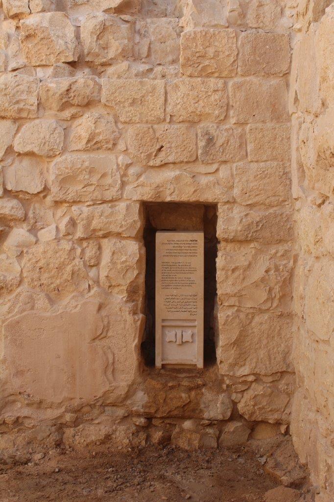 עיצוב: עפר קוטלר