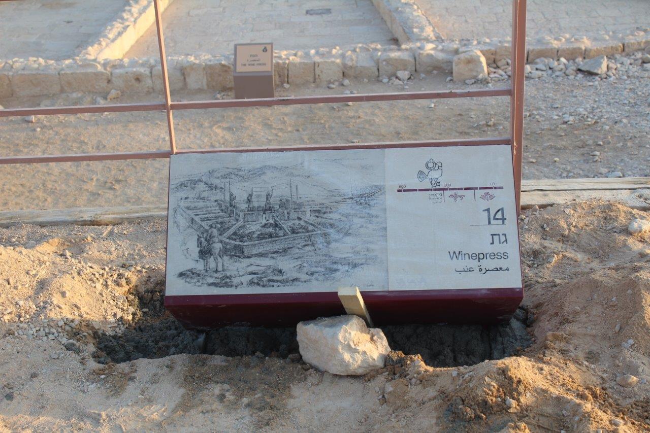 עיצוב: עפר קוטלר