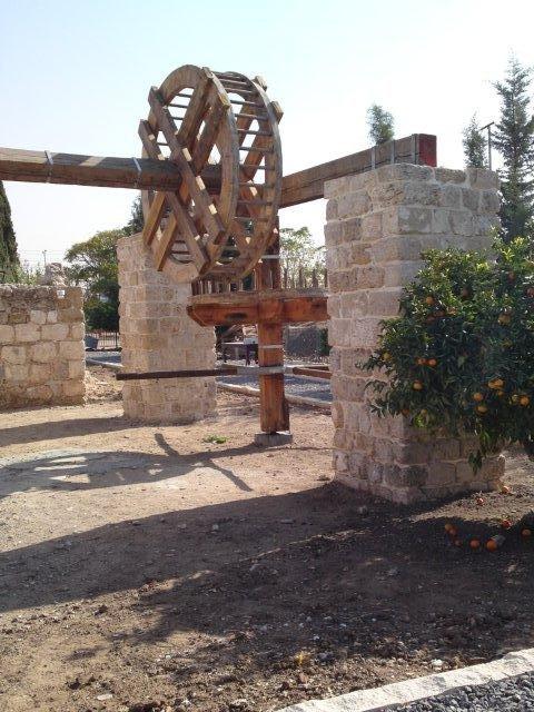 עיצוב: עפר קוטלר